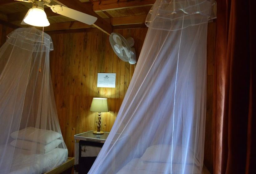 Hotell Lion Tree Bush Lodge