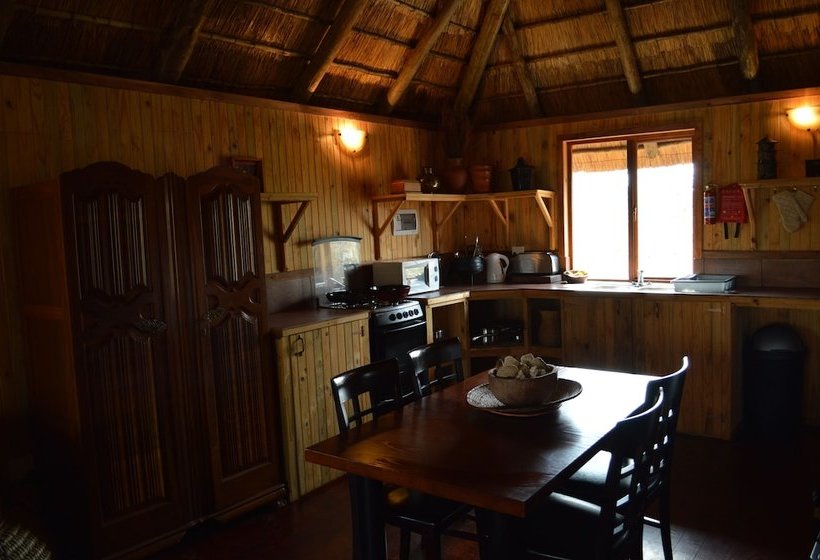 Hotell Lion Tree Bush Lodge