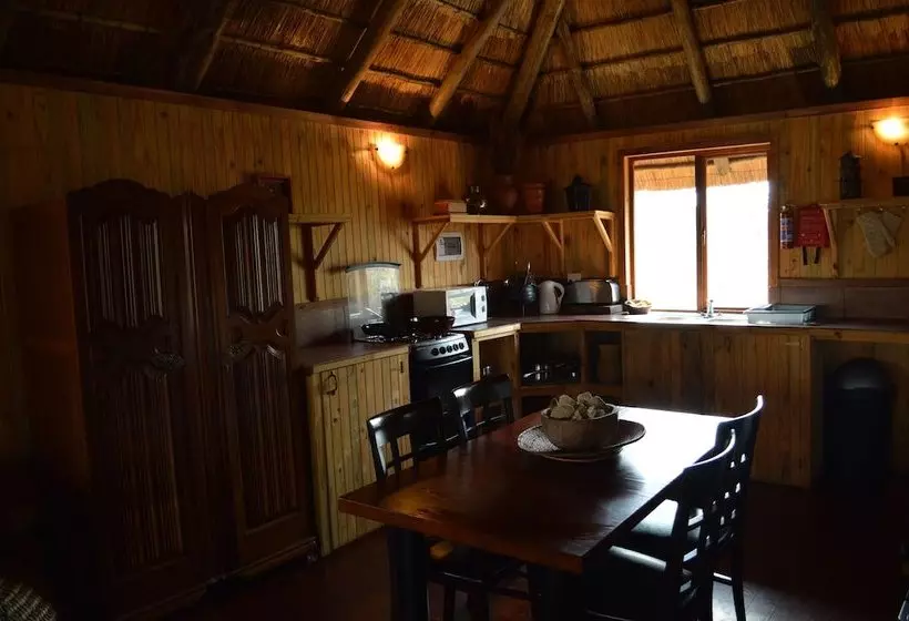 Hotelli Lion Tree Bush Lodge
