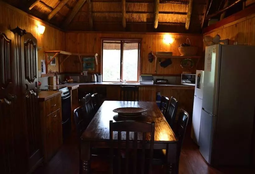 Hotelli Lion Tree Bush Lodge