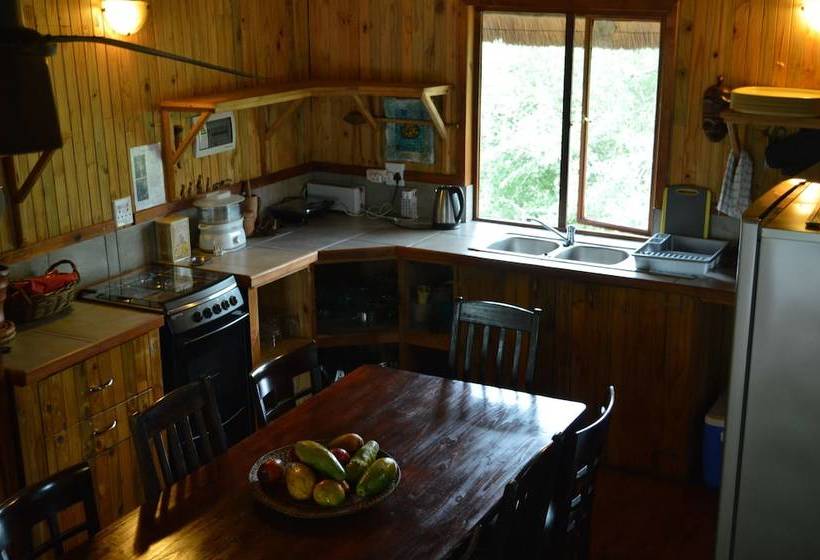 Hotell Lion Tree Bush Lodge