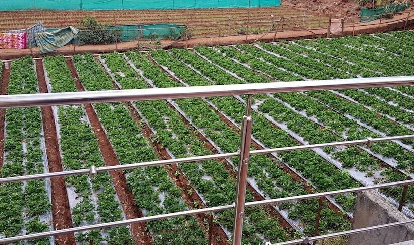 ホテル Silver Oak Villa