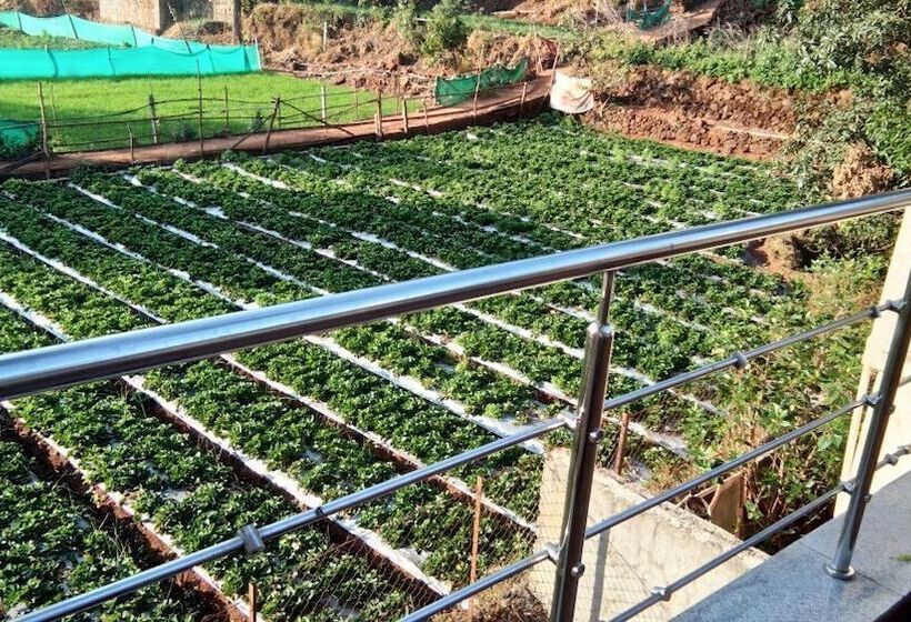 ホテル Silver Oak Villa