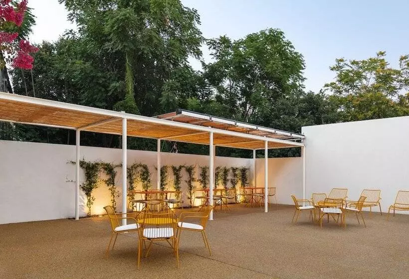 Onj S. Lazaro Lisboa