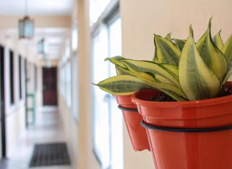 Pensão Pousada Mucuripe