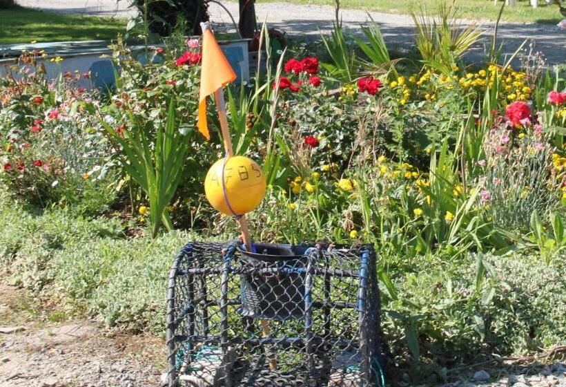 צימר Chambres D'hôtes Du Manoir Du Haut Salmon