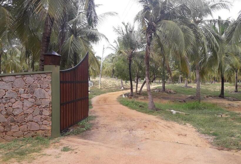 酒店 Majestic Beach Retreat