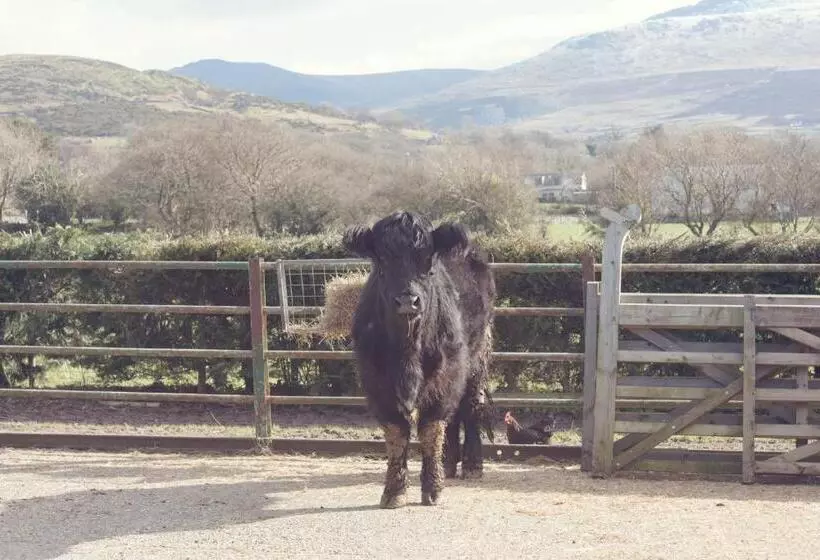 Hotelli Tyddyn Perthi Farm
