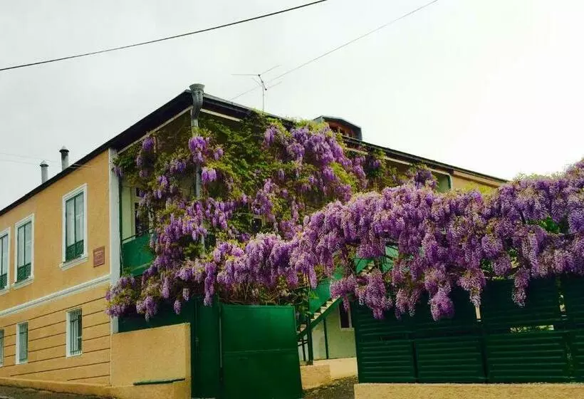 پانسیون Guesthouse Natali