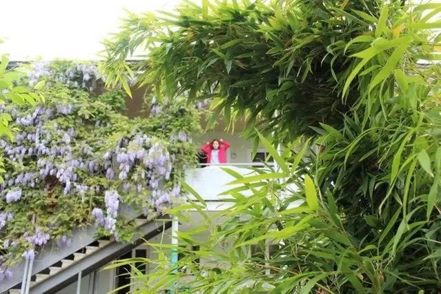 پانسیون Guesthouse Natali