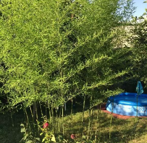 پانسیون Guesthouse Natali