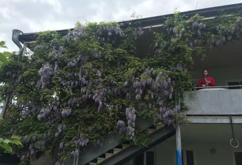 پانسیون Guesthouse Natali