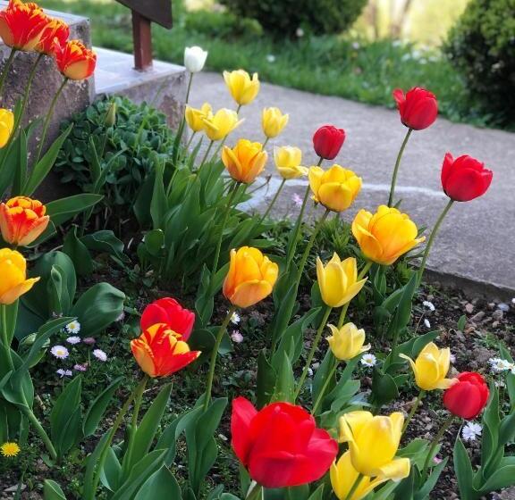 פנסיון Vidikovac Bijelo Polje