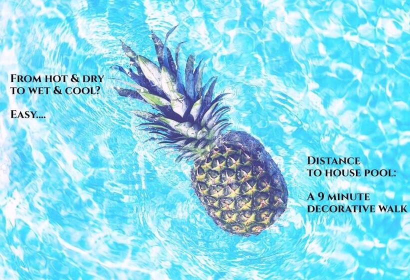 پانسیون Villa Amalie & Villa Curiel