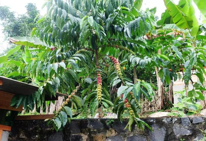 پانسیون Guest House Quinta Natural Bangalots