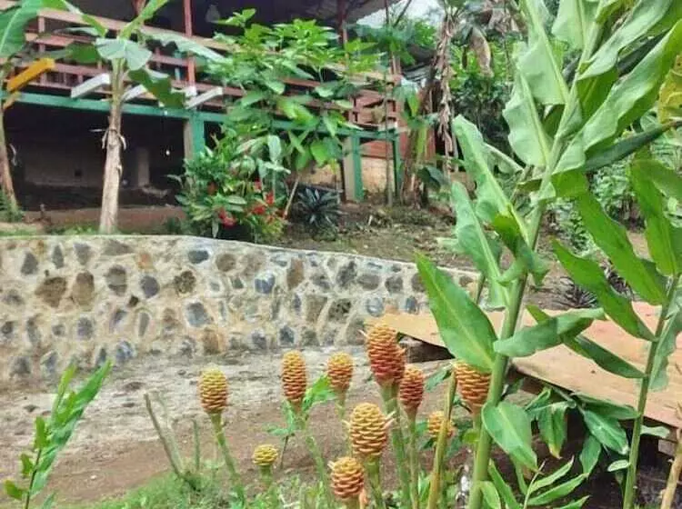 پانسیون Guest House Quinta Natural Bangalots