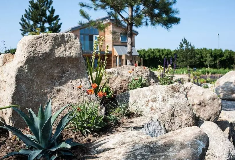 Lomakeskus Una St Ives