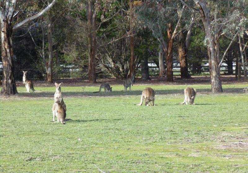 Отель Grampians Getaway