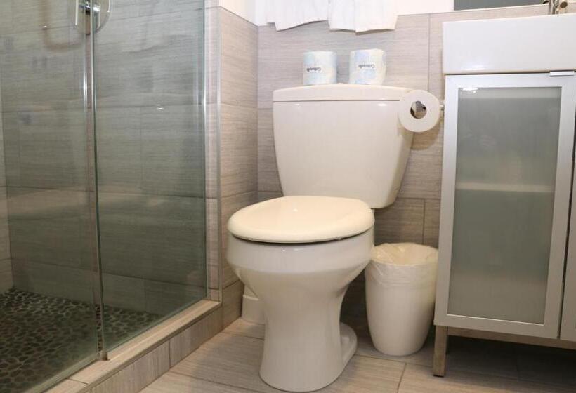 Comfy Beacon Hill Studio Great For Work Travel #13