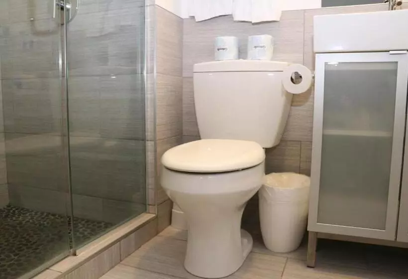 Comfy Beacon Hill Studio Great For Work Travel #13