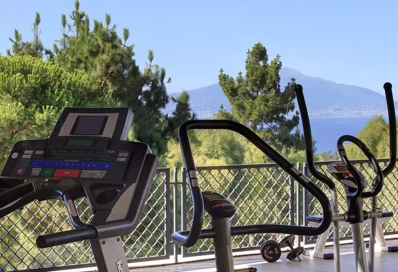 호텔 Atlantic Palace