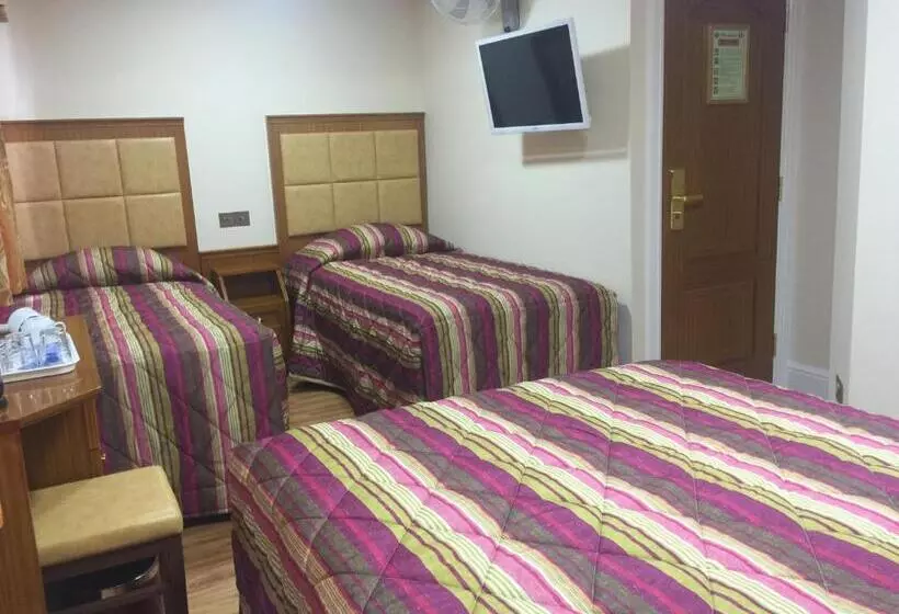 فندق White House