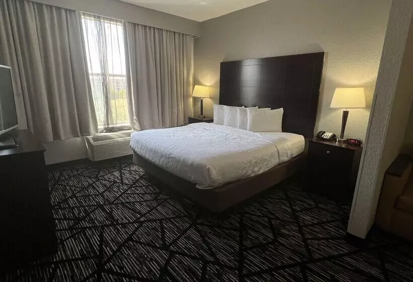 فندق Best Western Plus Hobby Airport Inn And Suites