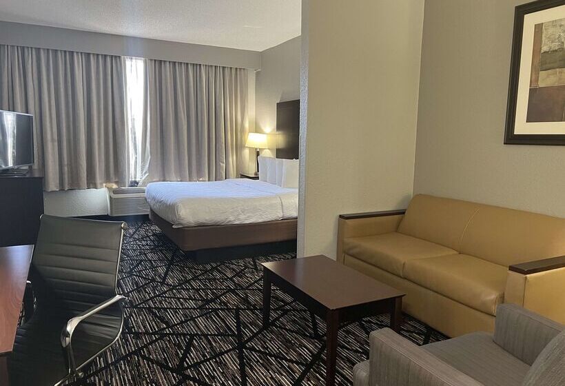 هتل Best Western Plus Hobby Airport Inn And Suites