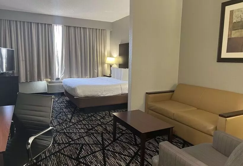 فندق Best Western Plus Hobby Airport Inn And Suites