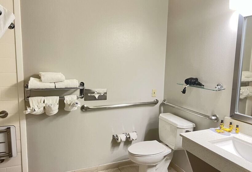 هتل Best Western Plus Hobby Airport Inn And Suites