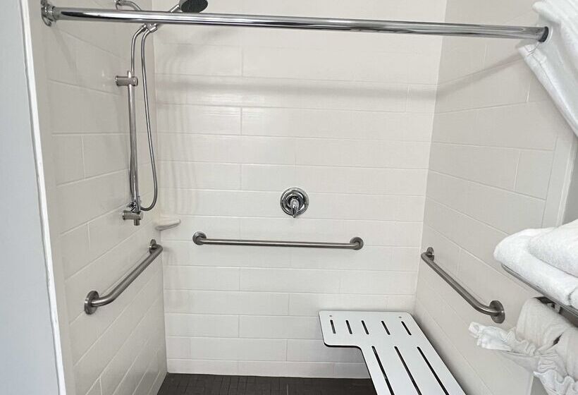 هتل Best Western Plus Hobby Airport Inn And Suites