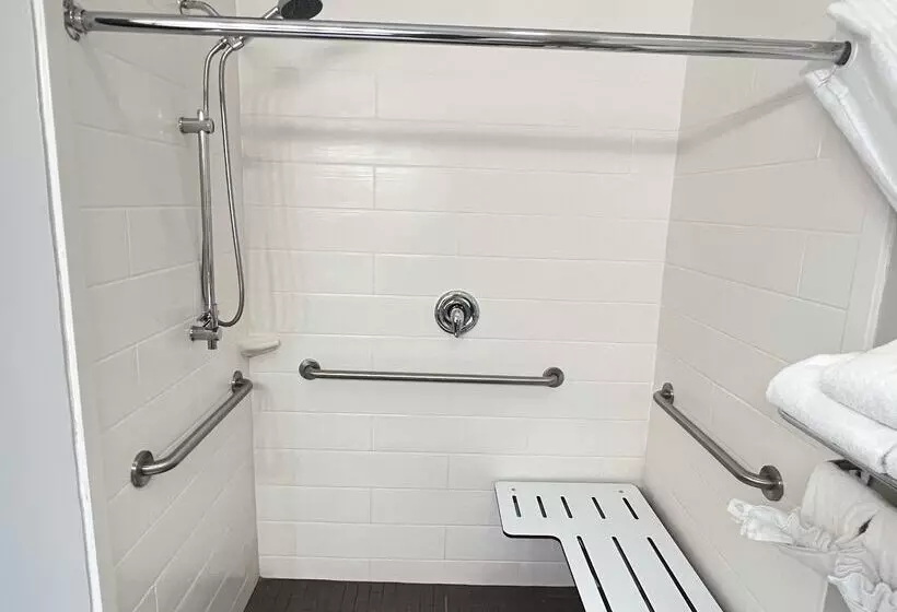 فندق Best Western Plus Hobby Airport Inn And Suites