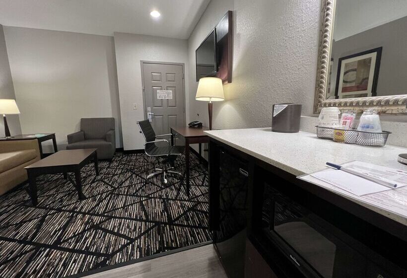هتل Best Western Plus Hobby Airport Inn And Suites