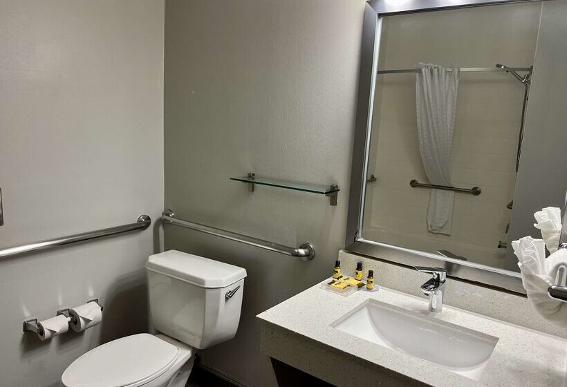 هتل Best Western Plus Hobby Airport Inn And Suites