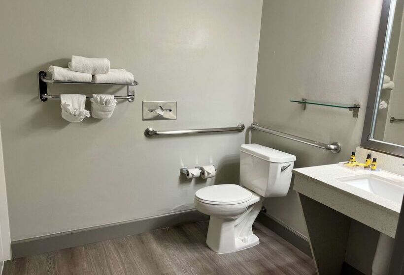 هتل Best Western Plus Hobby Airport Inn And Suites