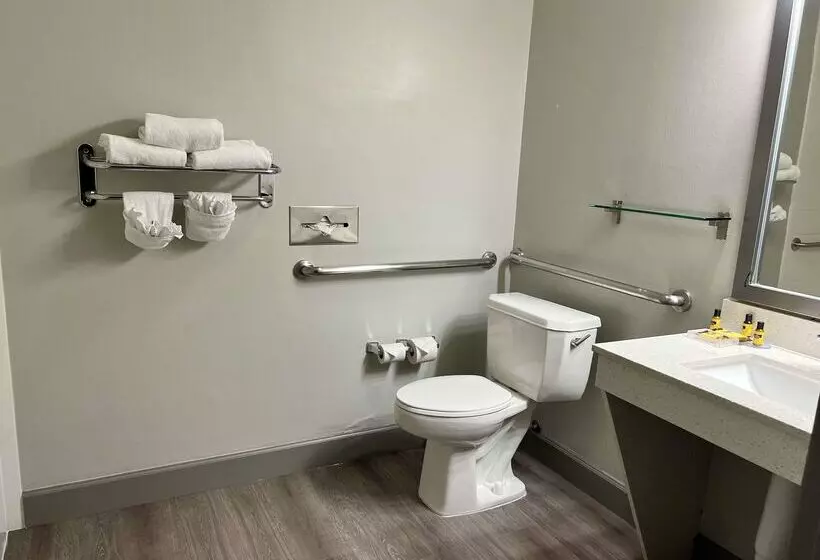 فندق Best Western Plus Hobby Airport Inn And Suites