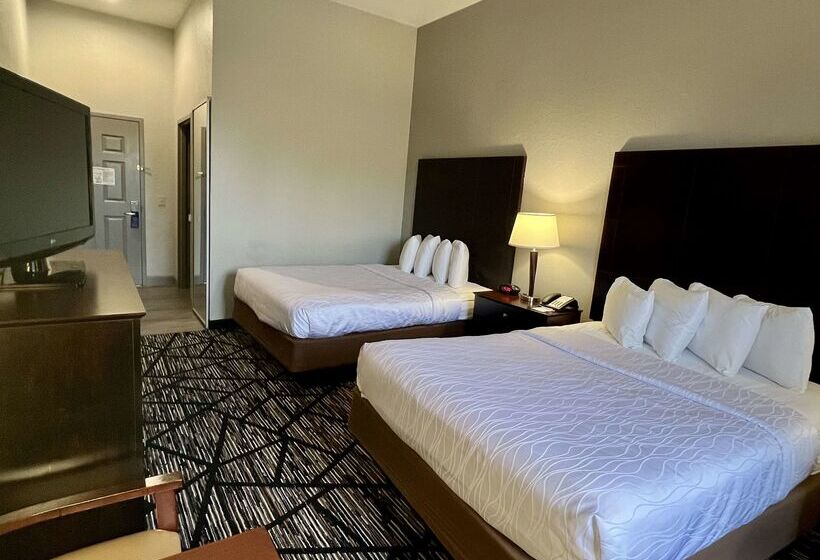 هتل Best Western Plus Hobby Airport Inn And Suites