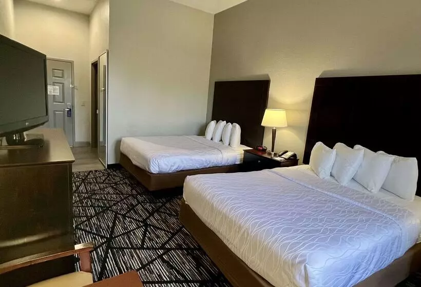 فندق Best Western Plus Hobby Airport Inn And Suites