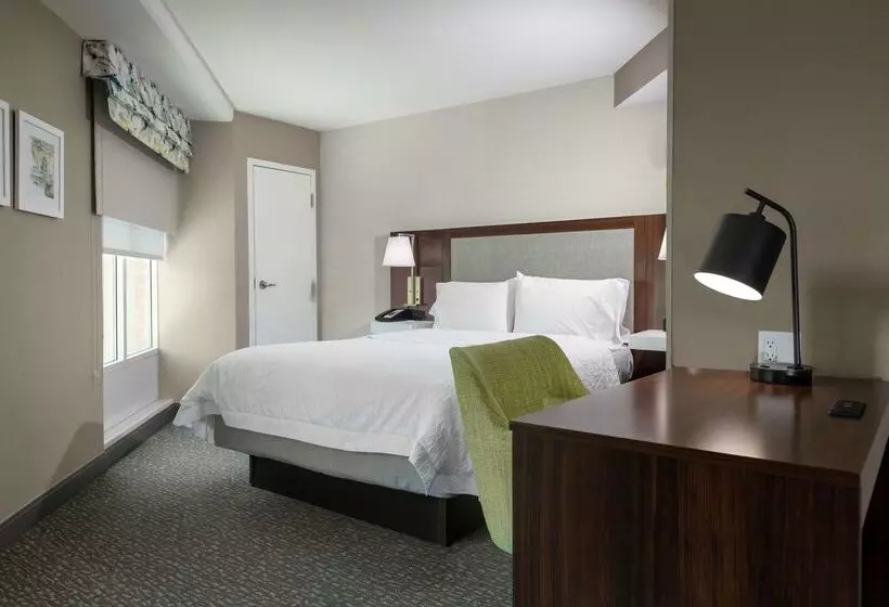 ホテル Hampton Inn & Suites Arlington Crystal City Dca