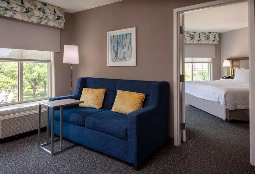 ホテル Hampton Inn & Suites Arlington Crystal City Dca