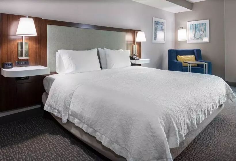 ホテル Hampton Inn & Suites Arlington Crystal City Dca
