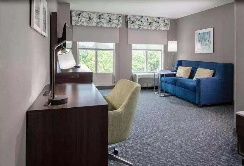 ホテル Hampton Inn & Suites Arlington Crystal City Dca