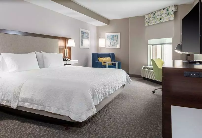 ホテル Hampton Inn & Suites Arlington Crystal City Dca