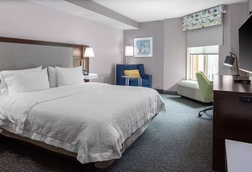 ホテル Hampton Inn & Suites Arlington Crystal City Dca