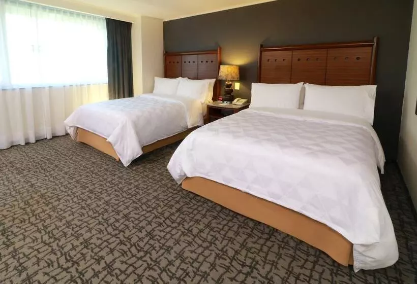 هتل Holiday Inn Mexico City Trade Center, An Ihg