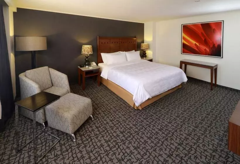هتل Holiday Inn Mexico City Trade Center, An Ihg