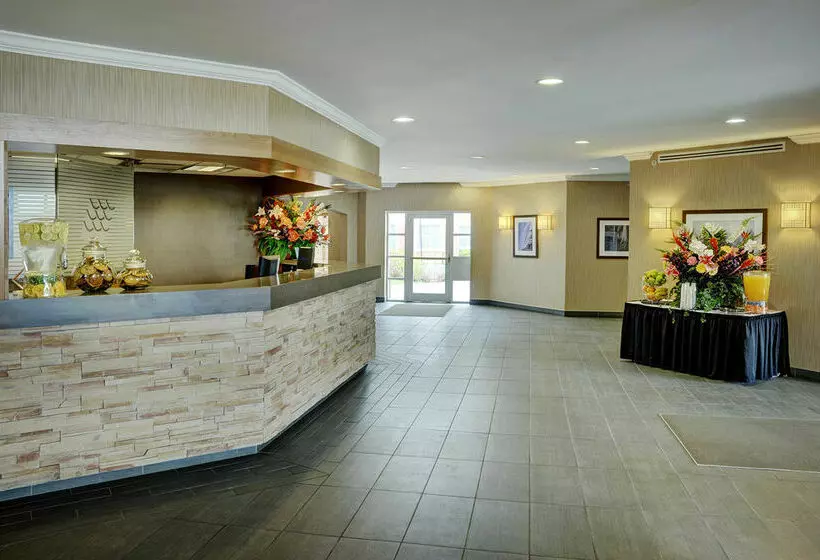 酒店 Lakeview Signature Inn Calgary Airport