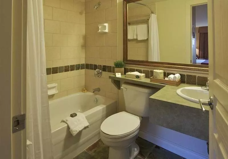 فندق Pemberton Valley Lodge