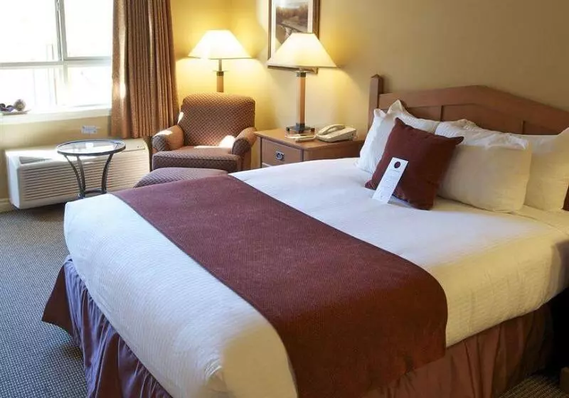 فندق Pemberton Valley Lodge