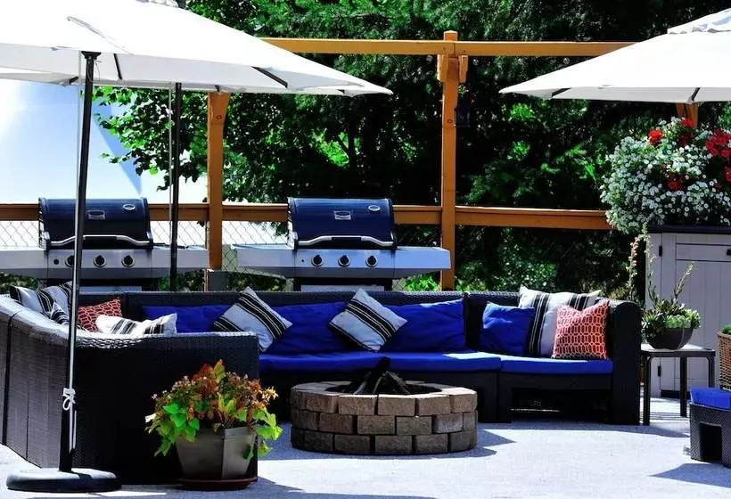 فندق Pemberton Valley Lodge